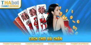 Hướng dẫn cách chơi bài chắn