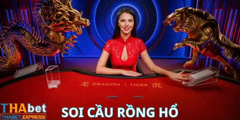 soi cau rong ho