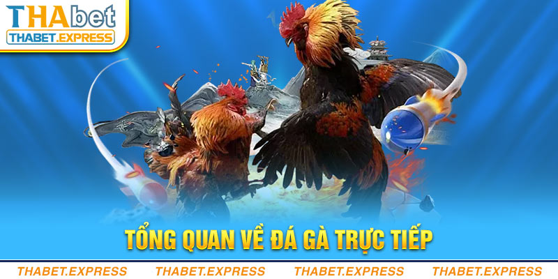 tong quan ve da ga truc tiep